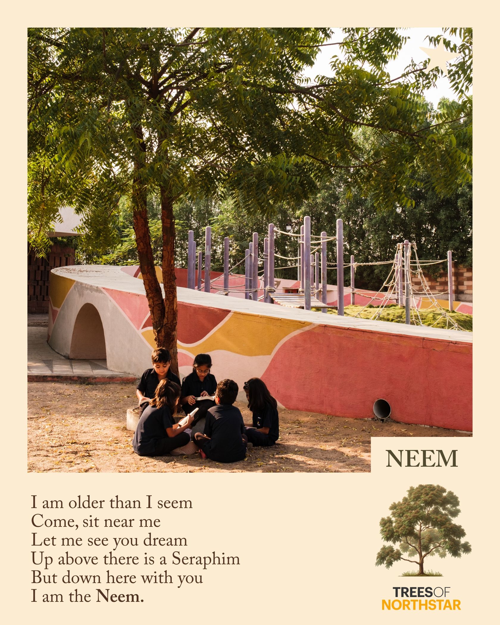 Neem